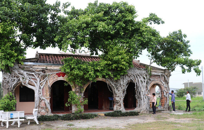 Rễ hai bồ đề ôm trọn Đình Tân Đông ở xã Tân Đông (Đồng Tháp) tạo nên nét độc đáo riêng có.