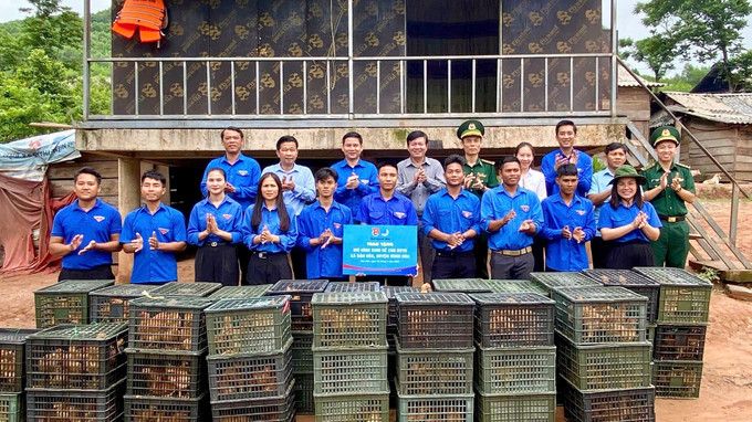 Trao tặng mô hình sinh kế cho đoàn viên thanh niên phát triển kinh tế trên địa bàn xã với 500 con gà giống, thức ăn và thuốc ban đầu. Ảnh: TTXVN phát Trao tặng mô hình sinh kế cho đoàn viên thanh niên phát triển kinh tế trên địa bàn xã với 500 con gà giống, thức ăn và thuốc ban đầu. Ảnh: TTXVN phát