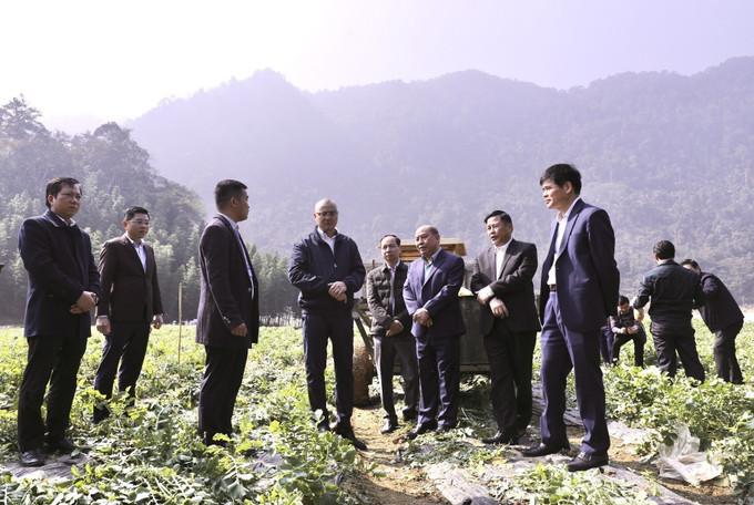 Bí thư Tỉnh ủy Phú Thọ Phạm Đại Dương thăm Hợp tác xã sản xuất rau an toàn Quyết Chiến (xóm Biệng), mô hình nông nghiệp sạch quy mô 22 ha.