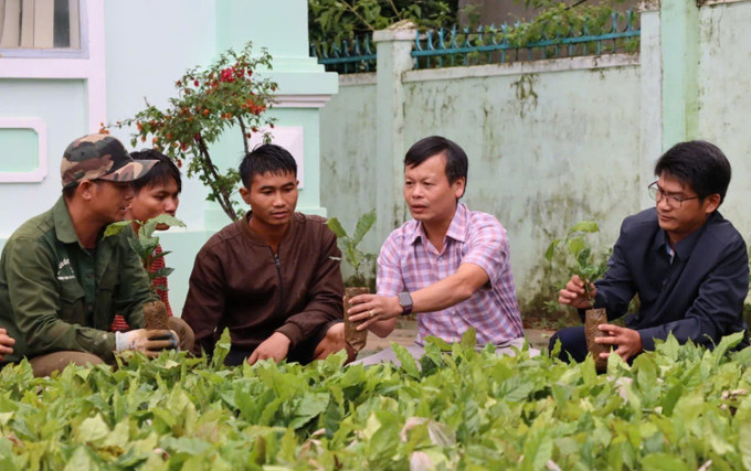 Số cây giống được tiếp nhận tại Đại hội. Số cây giống được tiếp nhận tại Đại hội.
