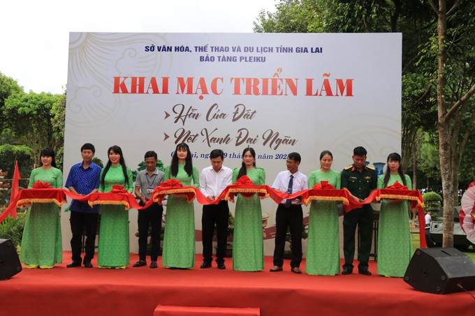 Đại biểu khai mạc triển lãm. gia-lai1-29825.jpg