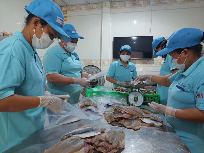 Sơ chế sản phẩm khô các loại tại Công ty TNHH chế biến thủy sản Phát Huy (xã Thạnh Phong, Vĩnh Long). vinh-long-24725.jpg