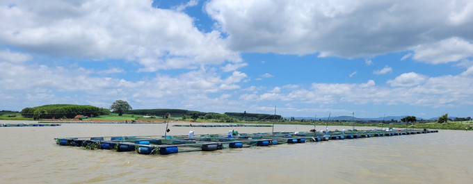 Mô hình nuôi cá lồng bè trên lòng hồ An Khê - Kanak của các hộ dân xã Cửu An, tỉnh Gia Lai. Ảnh: Hoài Nam/TTXVN ca-10925.jpg
