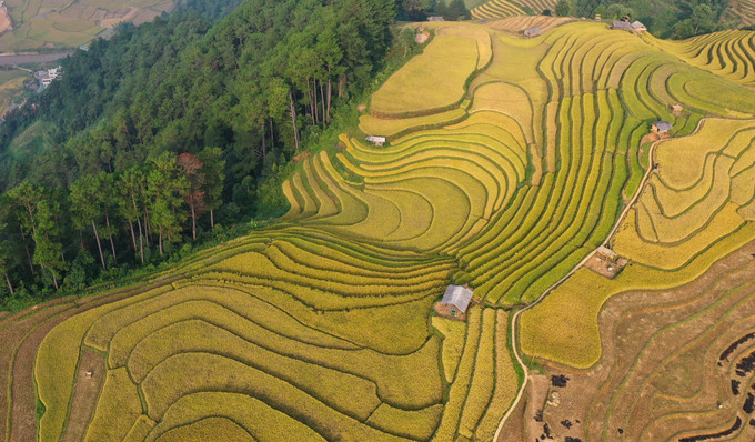 Năm 2019, danh thắng ruộng bậc thang Mù Cang Chải được xếp hạng là Di tích quốc gia đặc biệt. Vùng danh thắng có diện tích hơn 800ha ruộng bậc thang, tập trung ở các xã La Pán Tẩn, Chế Chu Nha, Dế Xu Phình, Kim Nọi, Mồ Dề và Lao Chải. Ảnh: Tuấn Anh/TTXVN Năm 2019, danh thắng ruộng bậc thang Mù Cang Chải được xếp hạng là Di tích quốc gia đặc biệt. Vùng danh thắng có diện tích hơn 800ha ruộng bậc thang, tập trung ở các xã La Pán Tẩn, Chế Chu Nha, Dế Xu Phình, Kim Nọi, Mồ Dề và Lao Chải. Ảnh: Tuấn Anh/TTXVN