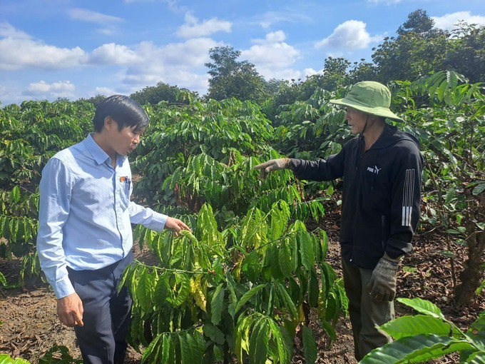 Địa phương tiến hành kiểm tra, đánh giá, thống kê thiệt hại, hướng dẫn người dân biện pháp khắc phục. Ảnh: Nguyên Dung/TTXVN