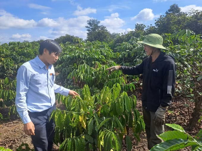 Địa phương tiến hành kiểm tra, đánh giá, thống kê thiệt hại, hướng dẫn người dân biện pháp khắc phục. Ảnh: Nguyên Dung/TTXVN