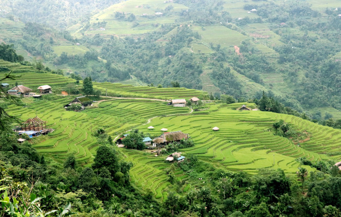 Những ngôi nhà với mái rêu phong xanh, nơi núi rừng vùng biên giới Thanh Thủy (Tuyên Quang). Những ngôi nhà với mái rêu phong xanh, nơi núi rừng vùng biên giới Thanh Thủy (Tuyên Quang).