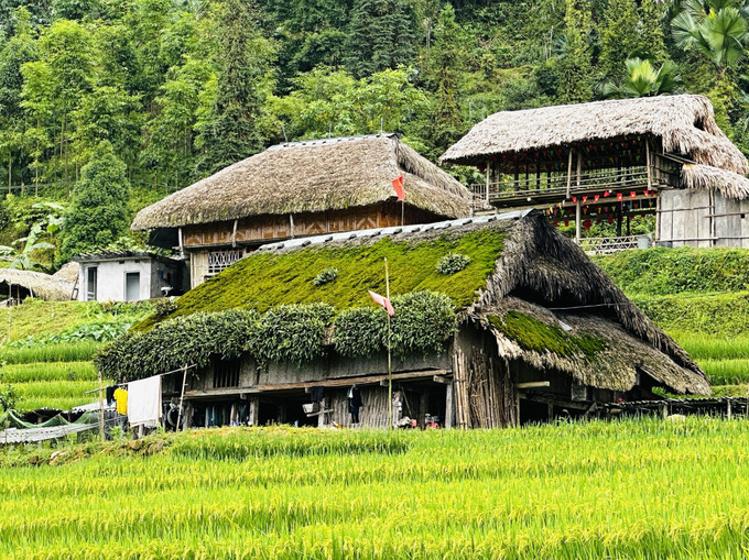 Những ngôi nhà với mái rêu phong xanh giữa núi rừng vùng biên giới Thanh Thủy (Tuyên Quang). Những ngôi nhà với mái rêu phong xanh giữa núi rừng vùng biên giới Thanh Thủy (Tuyên Quang).