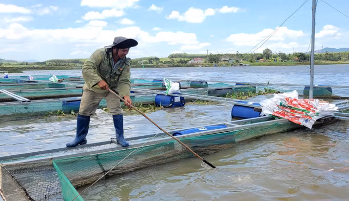Mô hình nuôi cá lồng bè trên lòng hồ An Khê - Kanak của gia đình ông Nguyễn Văn Long, xã Cửu An, tỉnh Gia Lai. Ảnh: Hoài Nam/TTXVN