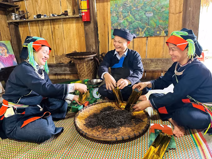 Người dân thôn Xà Phìn, xã biên giới Thanh Thủy, tỉnh Tuyên Quang, đóng gói sản phẩm Trà Pèng. Ảnh: Đức Thọ/TTXVN