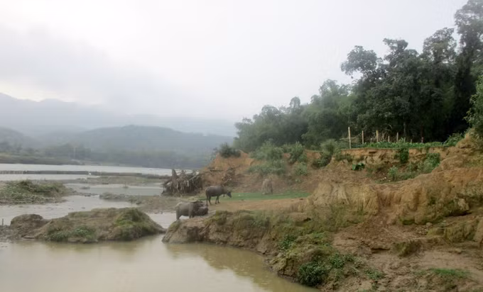 Những năm gần đây, tình trạng sạt lở bờ sông Mã diễn ra ngày một nghiêm trọng tại khúc sông chảy qua thôn Chòm Mốt, xã Lương Trung, huyện Bá Thước. Ả