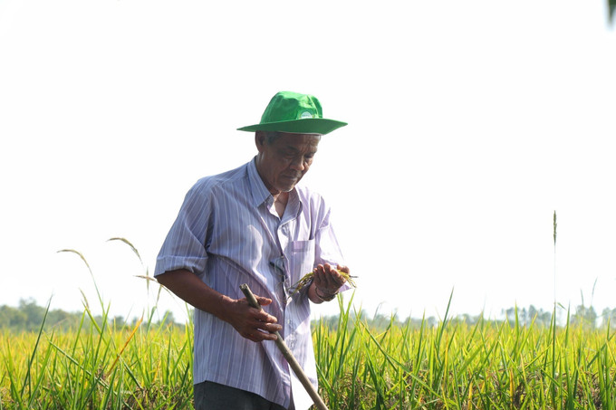 Lão nông Nguyễn Văn Trung (xã Phước Long, tỉnh Cà Mau) tin tưởng Đại hội XIV sắp tới sẽ là dấu mốc quan trọng trên con đường phát triển của đất nước. Ảnh: Chanh Đa/TTXVN