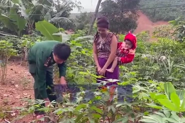 Từ canh tác nương rẫy đến những mô hình kinh tế xanh