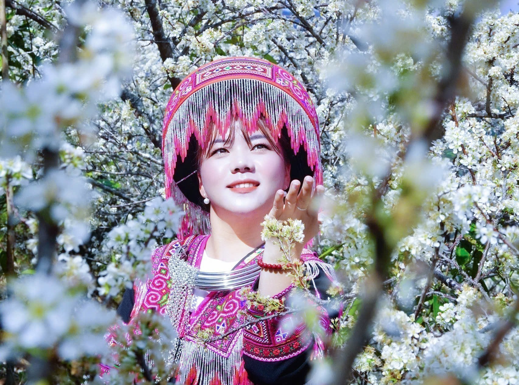 Hoa mận ở Làng Sang nở rộ từ giữa tháng 1 đến đầu tháng 2, đây là thời điểm đẹp để du khách lên lịch trình khám phá vùng đất Púng Luông. Ảnh: Đinh Thùy/TTXVN