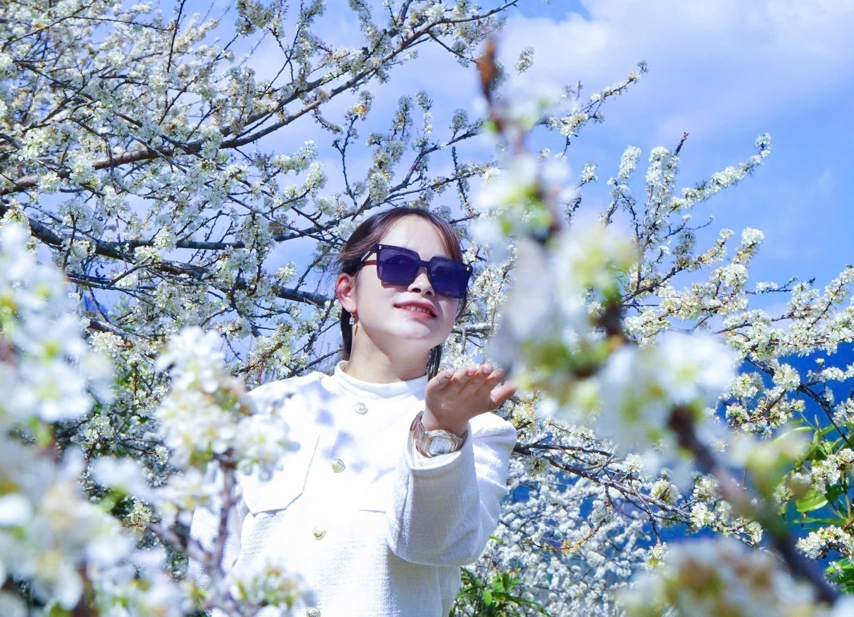 Sắc trắng hoa mận hòa cùng nắng xuân tạo nên khung cảnh lãng mạn, nên thơ. Ảnh: Đinh Thùy/TTXVN