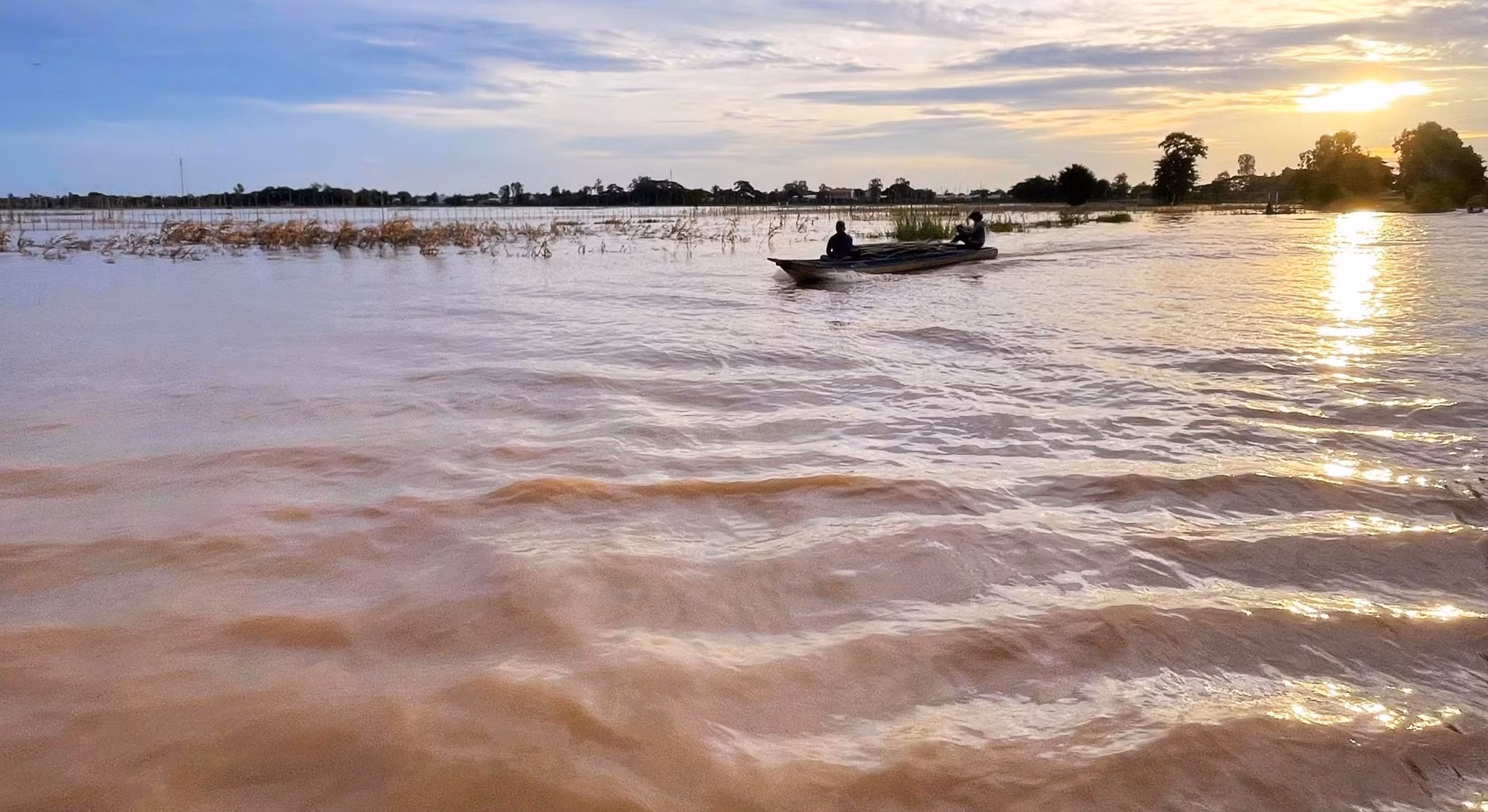 Từ thượng nguồn sông Mekong, con cá linh theo dòng phù sa đến với miền Tây Nam Bộ, trên thủy trình trôi dạt, cá linh vừa di cư vừa lớn dần và trở thành món đặc sản trứ danh, riêng chỉ có mỗi khi mùa nước nổi về.