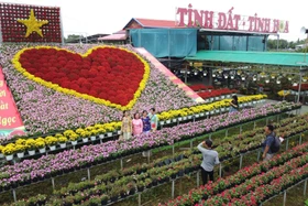 'Trái tim' khổng lồ làm từ 1.600 chậu hoa tươi ở Làng hoa Sa Đéc