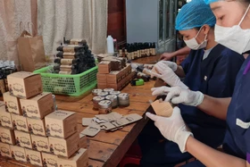 Sa Pa làm nông nghiệp hữu cơ, xây thương hiệu bằng công nghệ số