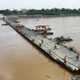 Cầu phao Phong Châu hoạt động trở lại