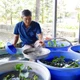 Nông dân tỷ phú với mô hình kết hợp 'nuôi - trồng'
