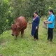 Kỳ tích giảm nghèo – Sức mạnh từ ý Đảng, lòng dân