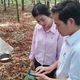 Chàng trai dân tộc Nùng tiên phong thực hiện số hóa, kiến tạo tương lai