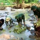 Thắm tình quân dân sau lũ quét nơi vùng cao biên giới Nghệ An