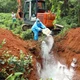 Nhiều khó khăn trong phòng, chống dịch tả lợn châu Phi