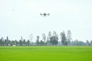 Hiệu quả tích cực từ chuyển đổi số trong hợp tác xã