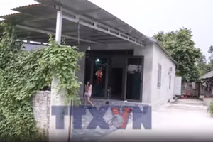 Lào Cai tập trung xây dựng nhà tạm cho người nghèo