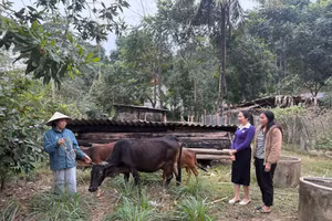 Thống nhất nguồn lực phát triển nông thôn mới và vùng dân tộc thiểu số giai đoạn 2026 - 2030