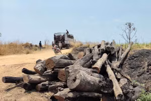 Tăng cường quản lý bảo vệ rừng giáp ranh giữa Đắk Lắk với Gia Lai