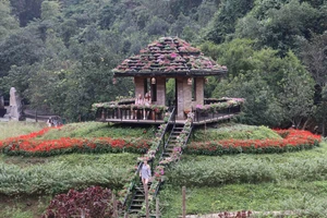 'Đảo hoa' khoe sắc giữa thiên nhiên di sản