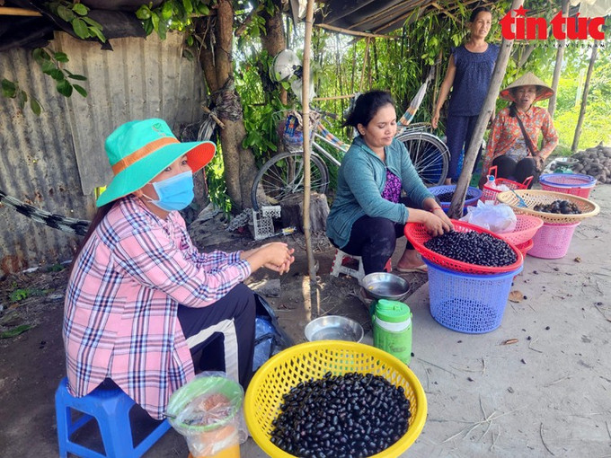 Người dân ngồi bán trâm trên đường tỉnh lộ 943 từ xã Núi Tô đến thị trấn Tri Tôn (tỉnh An Giang). 11.jpg