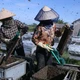 Đưa ong về lấy mật ở Vườn quốc gia Xuân Thủy