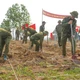 Điện Biên ra quân trồng mới 12.000 ha cây trồng chủ lực
