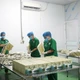 Ứng dụng khoa học công nghệ giúp nông dân đổi đời từ chuối tiêu