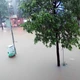 Mưa lớn gây ngập lụt và nhiều thiệt hại cho sản xuất tại Thái Nguyên