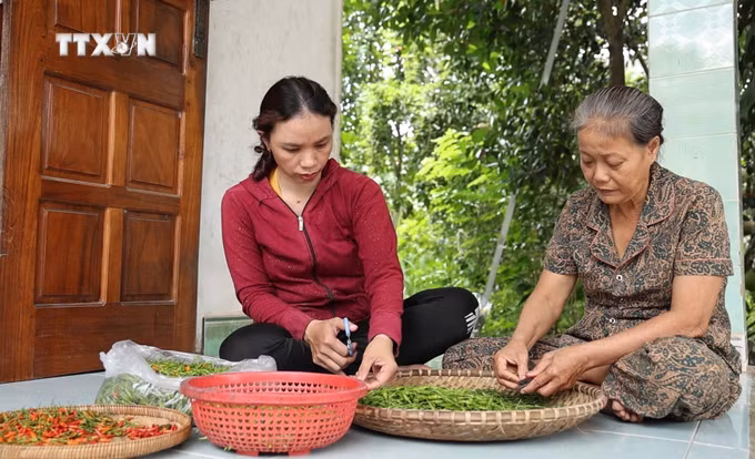 vna_potal_thuc_day_kinh_te_tap_the_hop_tac_xa_vung_dong_bao_dan_toc_thieu_so_tai_quang_ngai_7734782.jpg