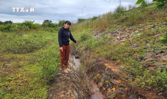 vna_potal_nguoi_dan_binh_phuoc_thap_thom_lo_au_vi_cong_trinh_dap_thuy_loi_bu_tam_7735547.jpg