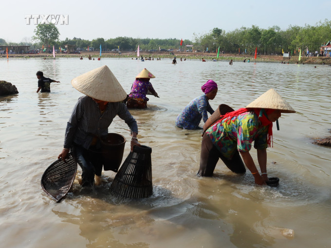 Đồng bào Khmer xuống bàu bắt cá bằng những dụng cụ thô sơ truyền thống. Ảnh: K GỬIH – TTXVN vna_potal_van_hoa_soi_duong_dac_sac_le_hoi_pha_bau_cua_dong_bao_khmer_o_binh_phuoc___7275510.jpg