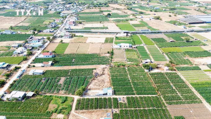 vna_potal_ung_pho_bien_doi_khi_hau_hieu_qua_tu_mo_hinh_tuoi_nuoc_tiet_kiem_o_ninh_thuan_7289765.jpg