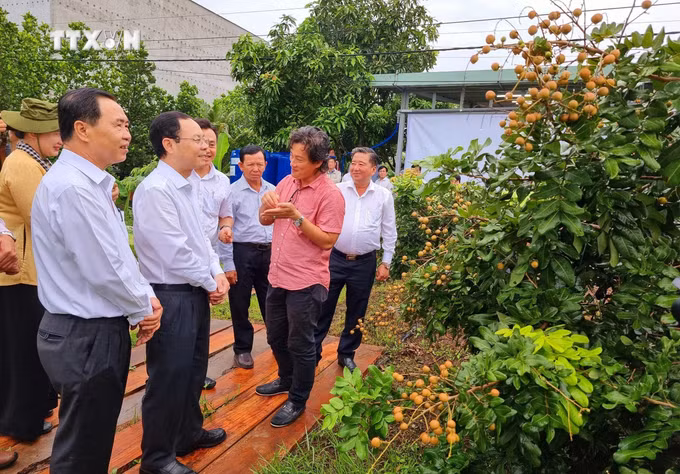 vna_potal_cac_hop_tac_xa_nong_nghiep_tai_can_tho_can_mo_rong_quy_mo_san_xuat_6847801.jpg