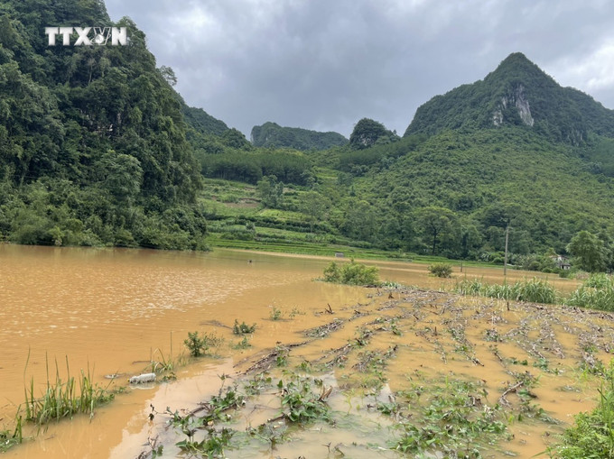 Mưa lớn làm ngập úng nhiều diện tích lúa ở huyện Hà Quảng, tỉnh Cao Bằng. Ảnh: TTXVN vna_potal_cao_bang_mua_to_lam_ngap_ung_cuc_bo_sat_lo_dat_7532471.jpeg