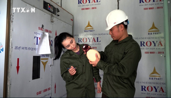 Việc ấp trứng và chăm sóc con giống tại trang trại chăn nuôi đà điểu của bà Phạm Thị Liên (xã Quảng Hưng, huyện Quảng Trạch, tỉnh Quảng Bình) luôn tuân theo quy trình rất nghiêm ngặt. Ảnh: Tá Chuyên - TTXVN vna_potal_quang_binh_phat_trien_chan_nuoi_da_dieu_tren_vung_dat_cat_bac_mau_7483515.jpg