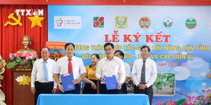 vna_potal_ky_ket_ho_tro_thuc_day_phat_trien_san_xuat_va_che_bien_nho_tao_ninh_thuan_7412595.jpg