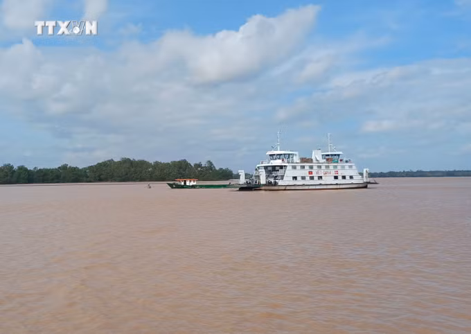vna_potal_dong_bang_song_cuu_long_tang_cuong_ung_pho_lu_trieu_cuong_7606484.jpg