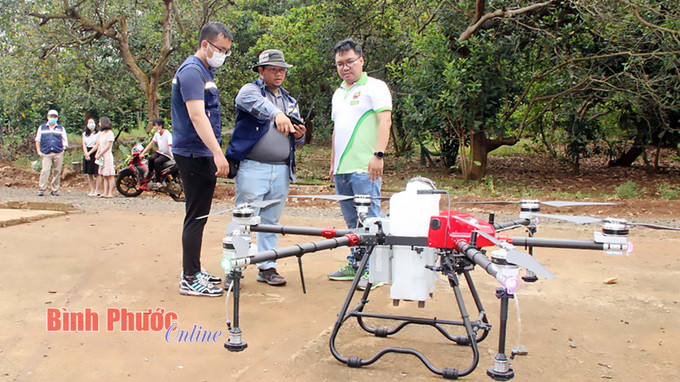 Anh Đặng Dương Minh Hoàng (áo phông màu xanh ngoài cùng bên phải) cùng các kỹ sư quan sát và kiểm tra máy bay không người lái trước khi phun thuốc cho vườn cây tại Nông trại Thiên Nông. Ảnh: baobinhphuoc.com.vn image001_09244026022024.jpg