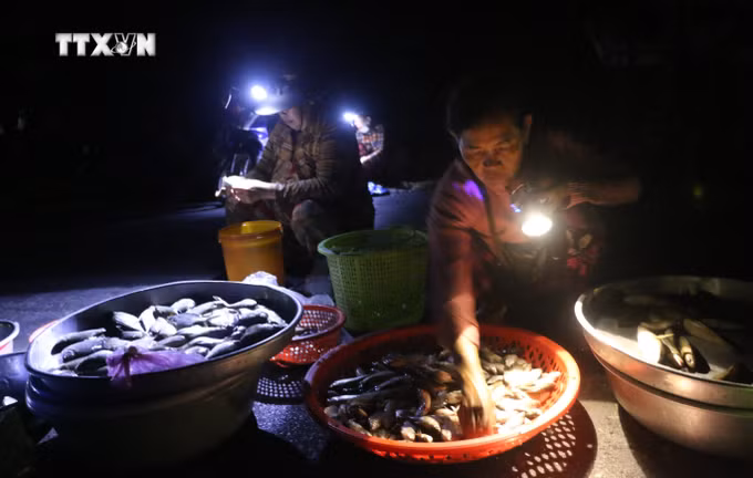 vna_potal_mua_nuoc_noi_ve_an_giang_di_“cho_ma”_tha_la_7654306.jpg