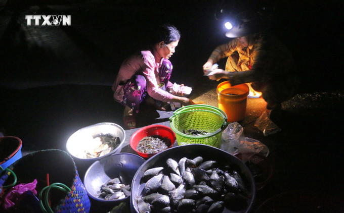 Mua bán cá đồng ở "chợ ma" Tha La. Ảnh: Công Mạo - TTXVN vna_potal_mua_nuoc_noi_ve_an_giang_di_“cho_ma”_tha_la_7654298.jpg